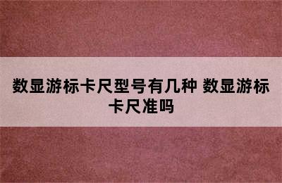 数显游标卡尺型号有几种 数显游标卡尺准吗